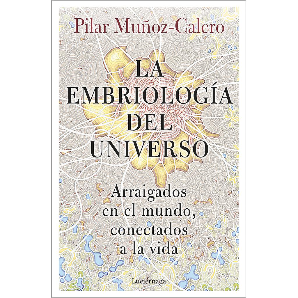 La embriología del universo