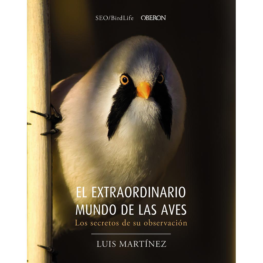 El extraordinario mundo de las aves. Los secretos de su observación
