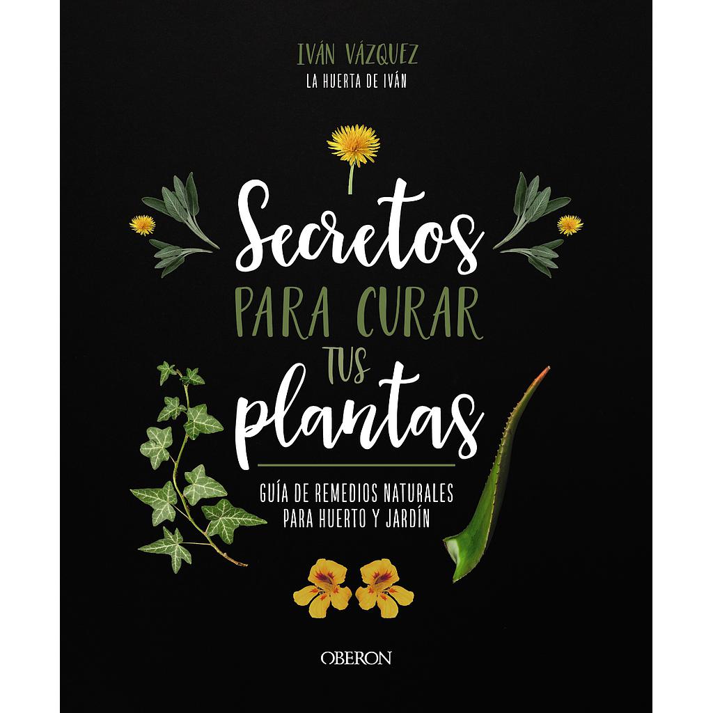 Secretos para curar tus plantas