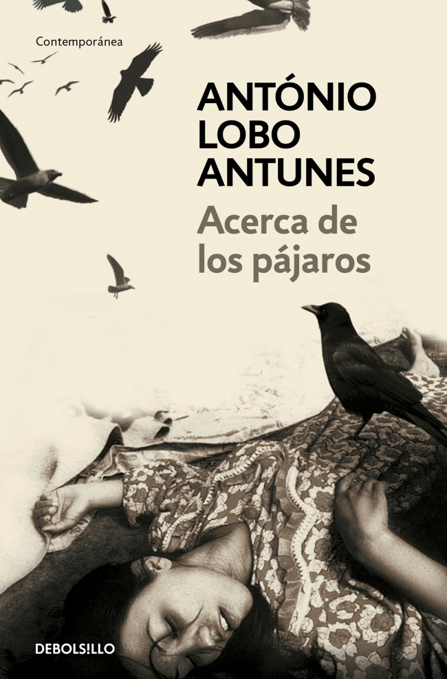 Acerca de los pájaros