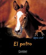 El potro