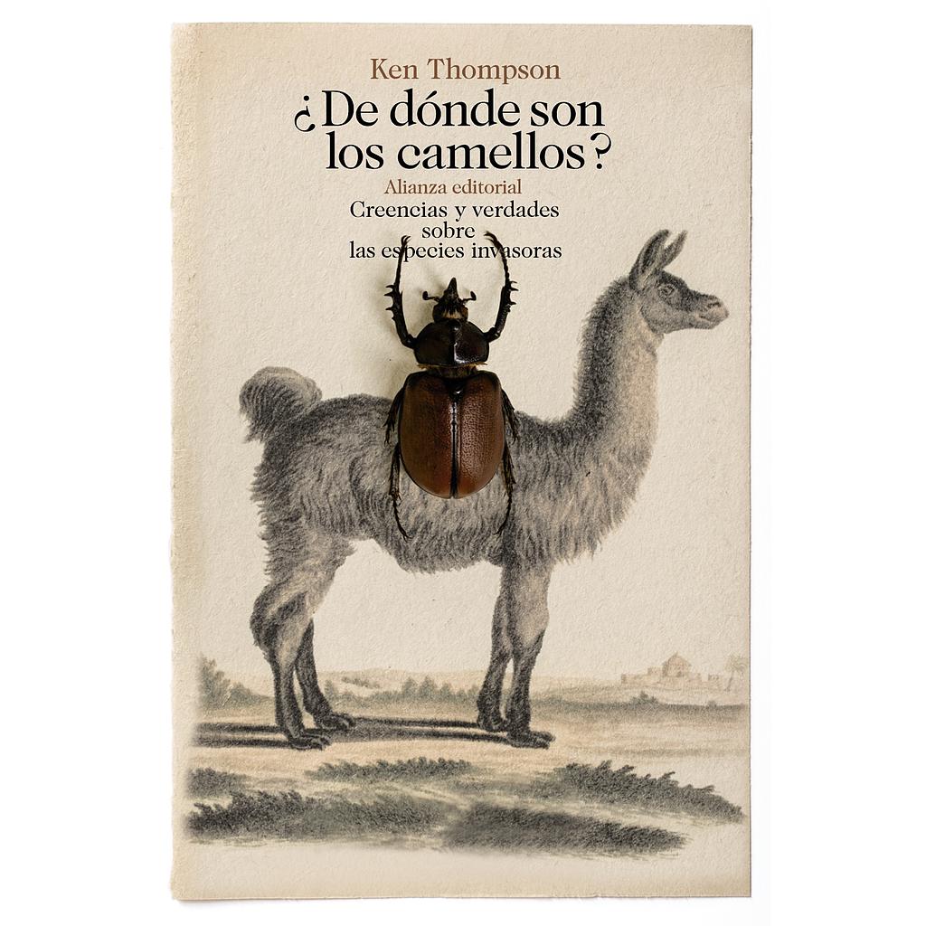 ¿De dónde son los camellos?