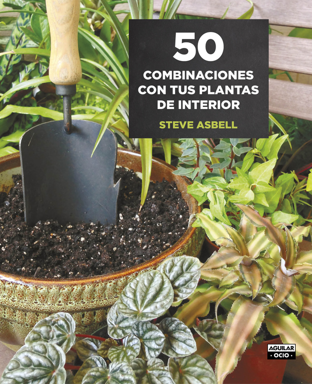 50 Combinaciones con tus plantas de interior