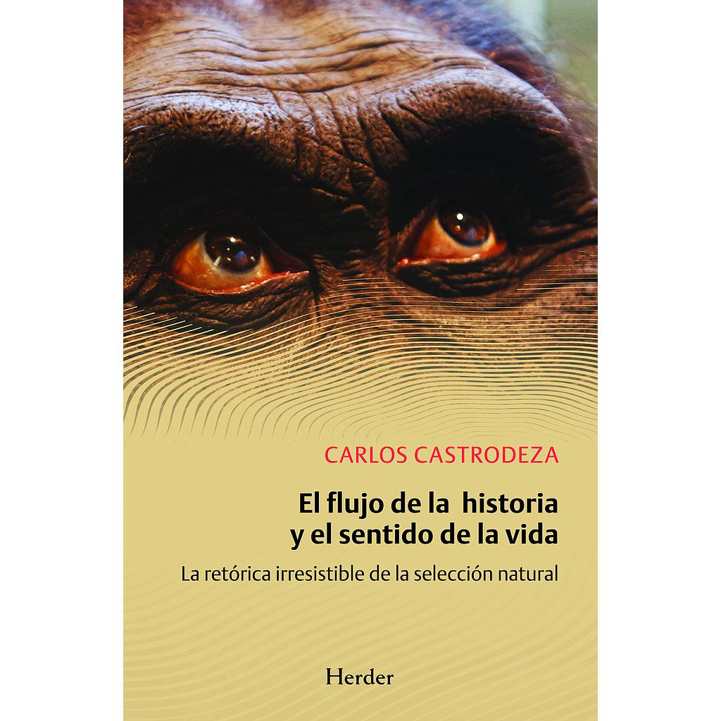 El flujo de la historia y el sentido de la vida