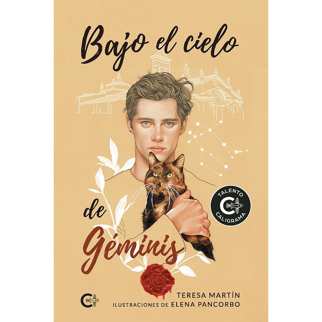 Bajo el cielo de Géminis