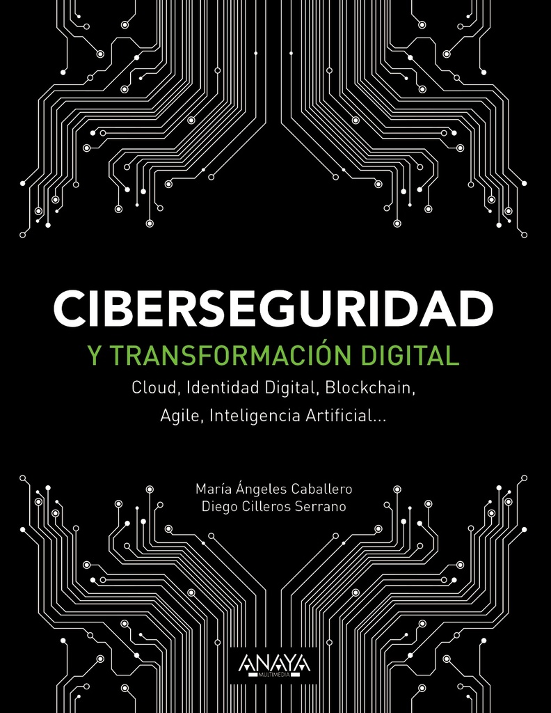 Ciberseguridad y transformación digital
