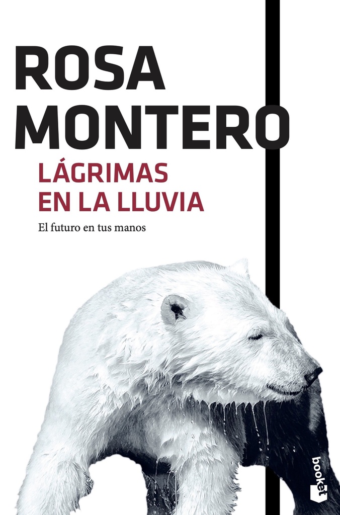 Lágrimas en la lluvia