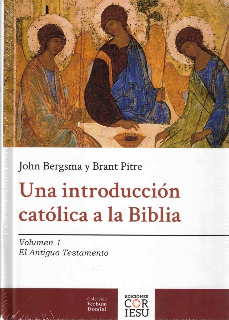 Una introducción católica a la Biblia