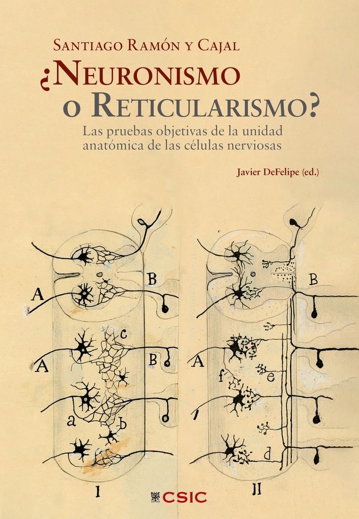 ¿Neuronismo o reticularismo?