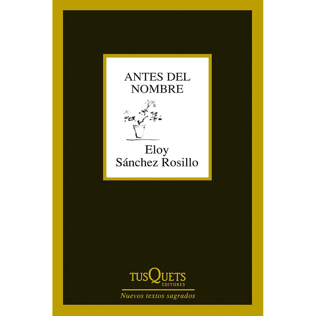 Antes del nombre