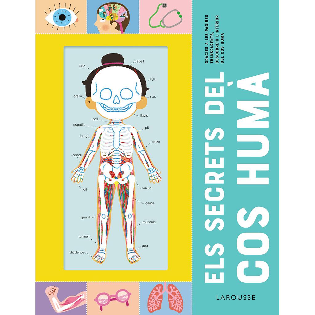 Els secrets del cos humà
