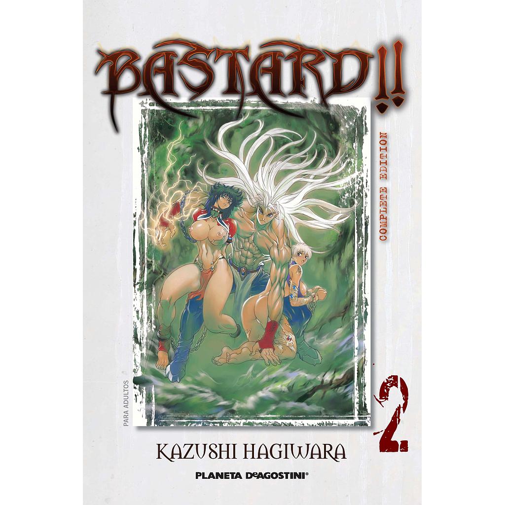 Bastard! Complete Edition nº 02