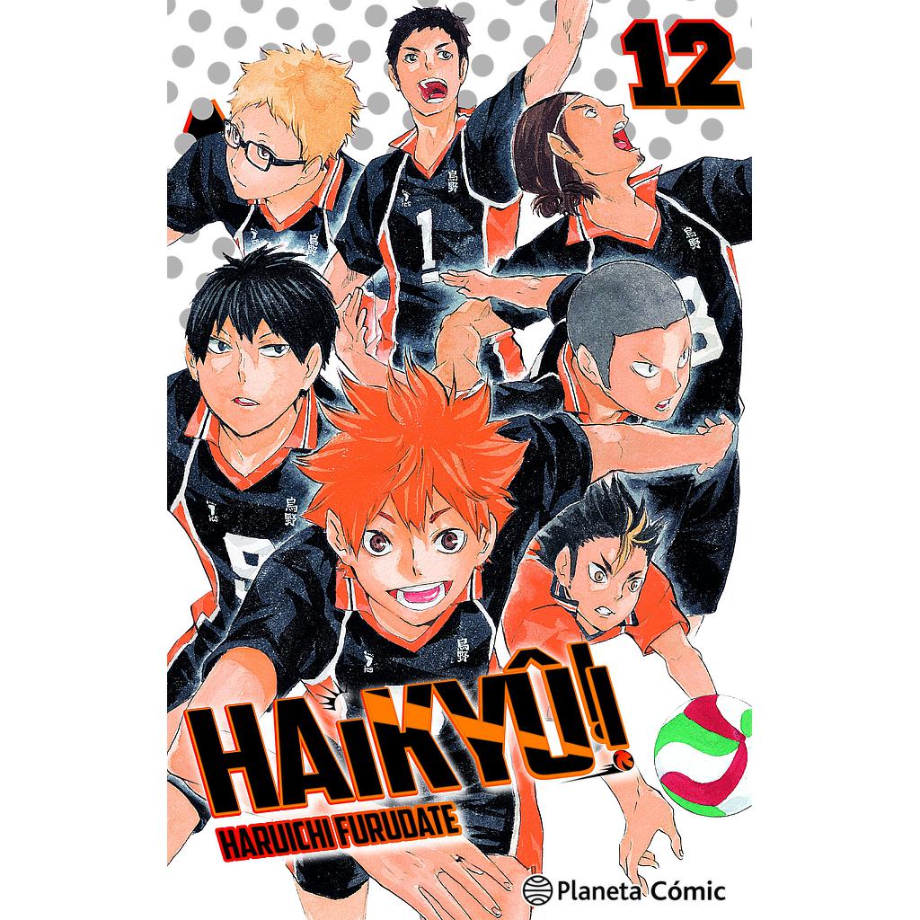 Haikyû!! nº 12/45