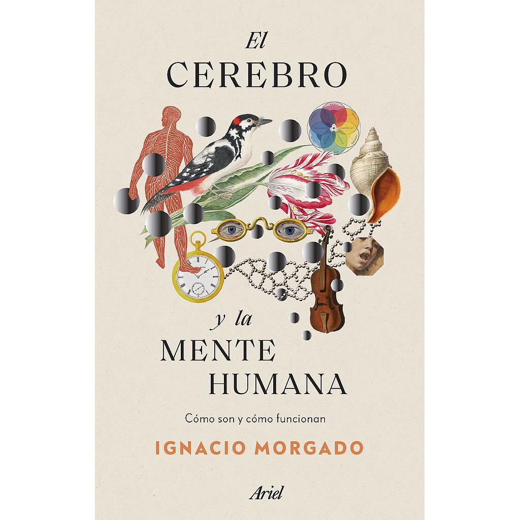 El cerebro y la mente humana