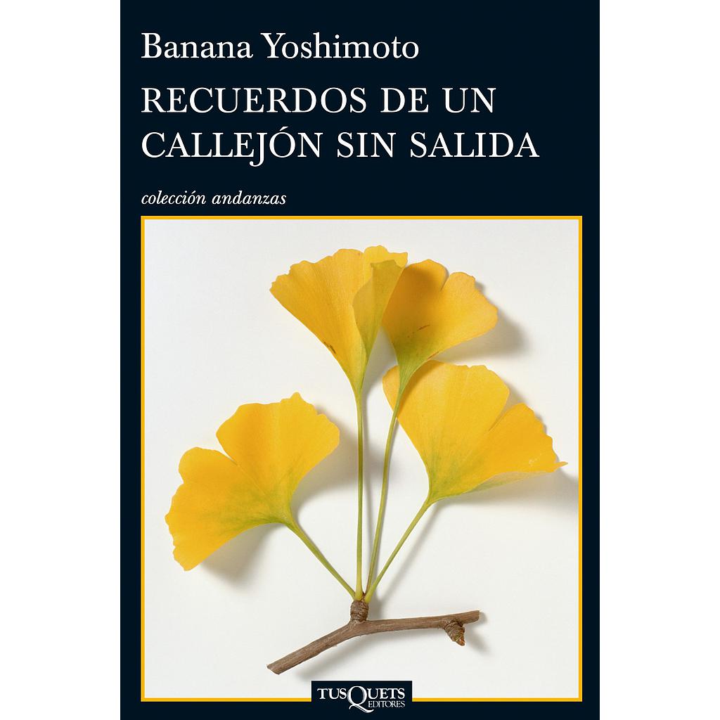 Recuerdos de un callejón sin salida