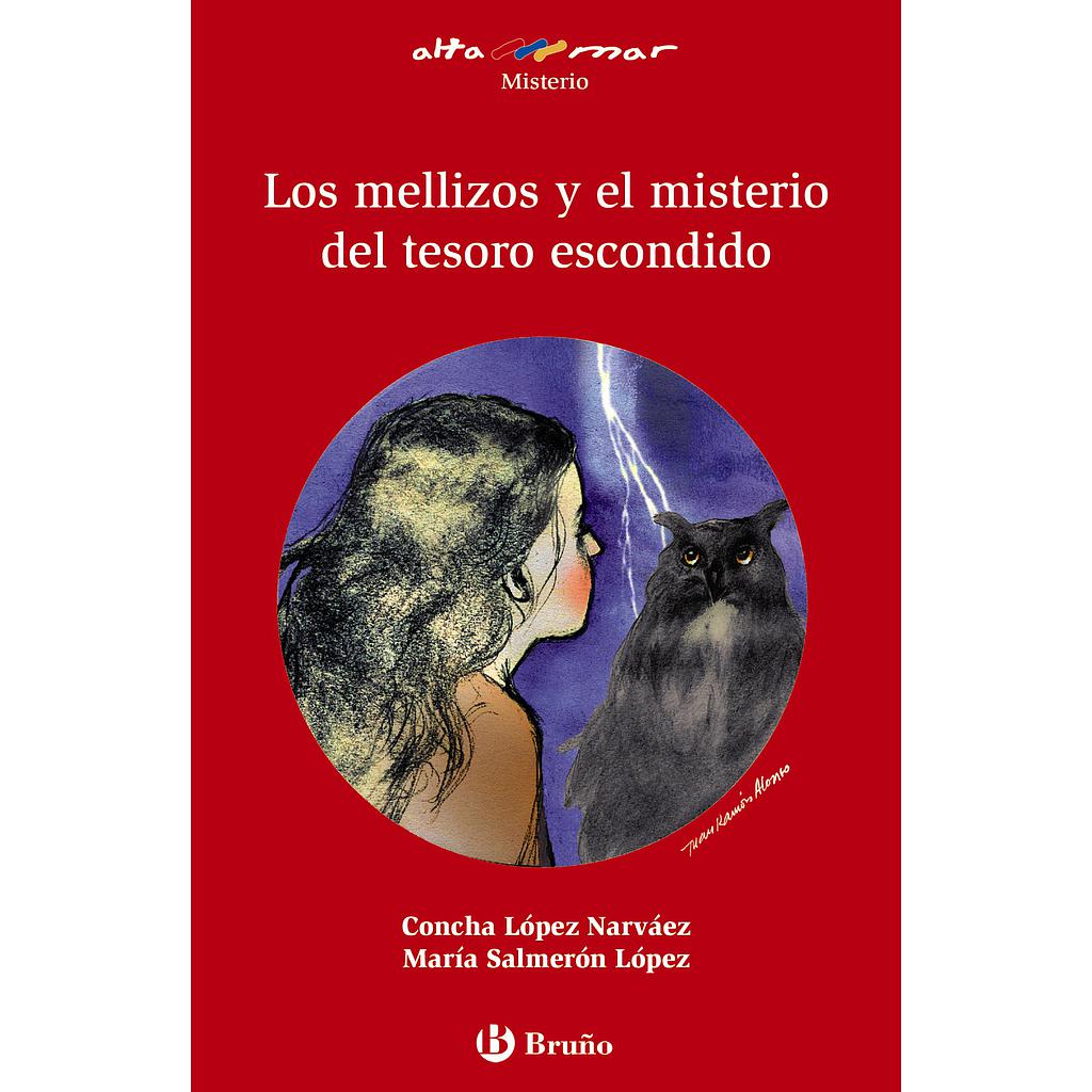 Los mellizos y el misterio del tesoro escondido