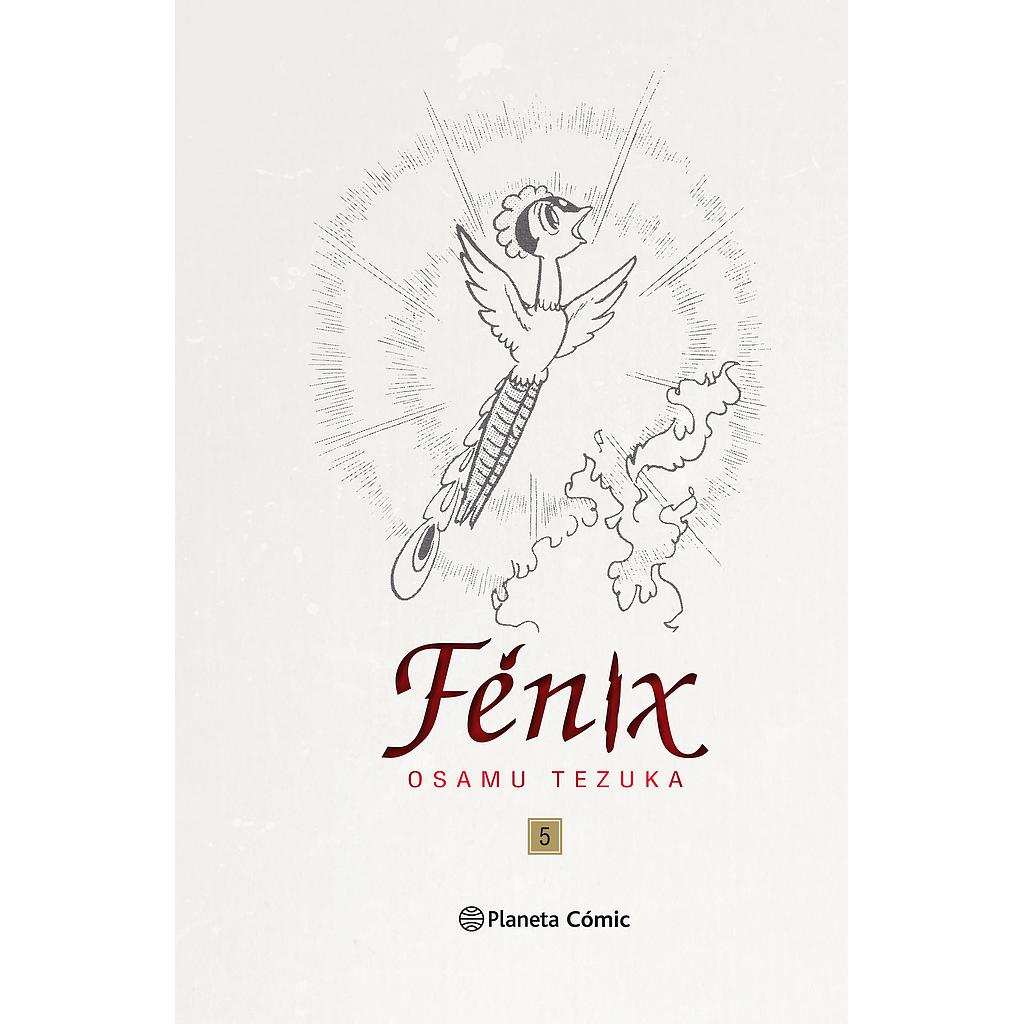Fénix nº 05/12 (Trazado)