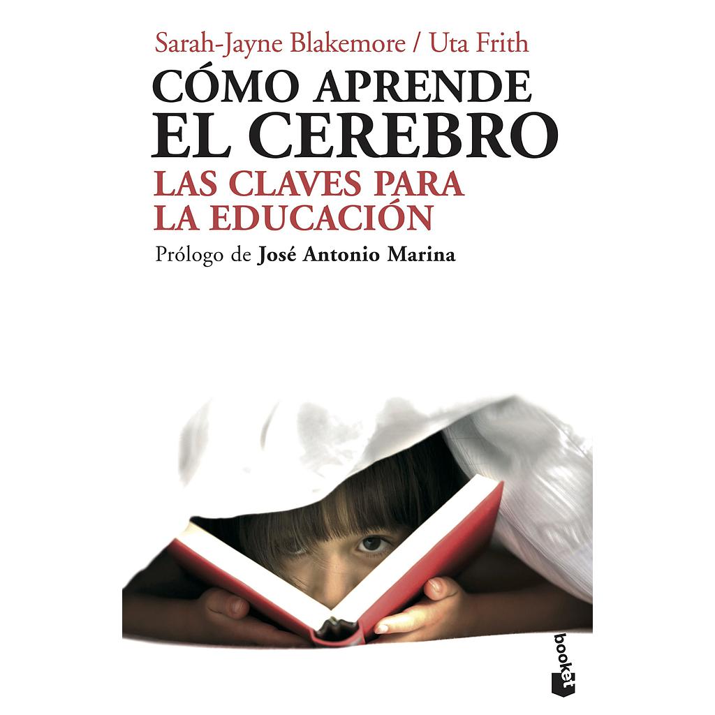 Cómo aprende el cerebro