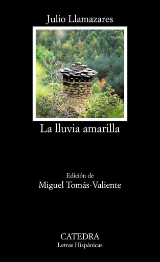[9788437635972] La lluvia amarilla