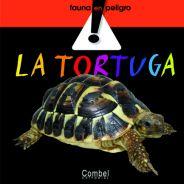 [9788498253771] La tortuga