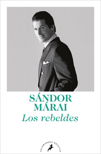 [9788498384352] Los rebeldes