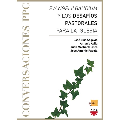 [9788428827706] Evangelii gaudium y los desafíos pastorales para la Iglesia