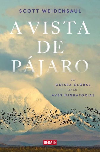 [9788419642592] A vista de pájaro