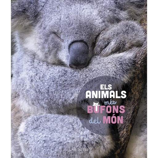 [9788419436184] Els animals més bufons del món