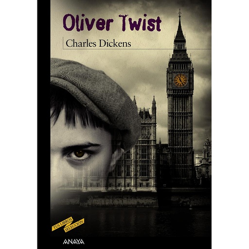 [9788466795210] Oliver Twist