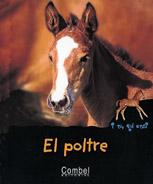 [9788478642151] El poltre