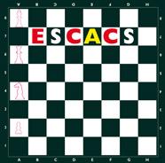 [9788498251432] Escacs