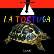 [9788498253764] La tortuga