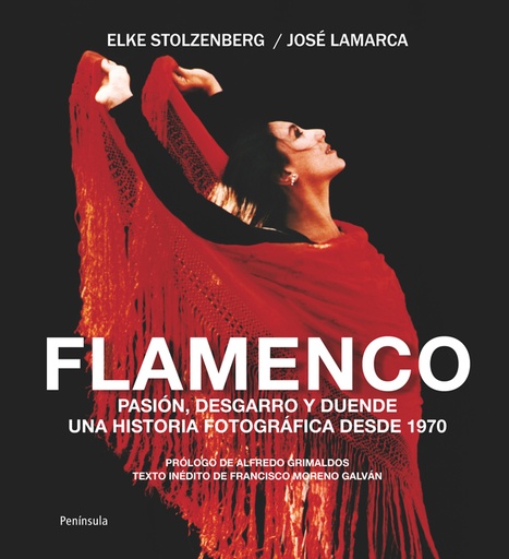 [9788499421636] Flamenco