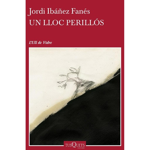 [9788490662854] Un lloc perillós