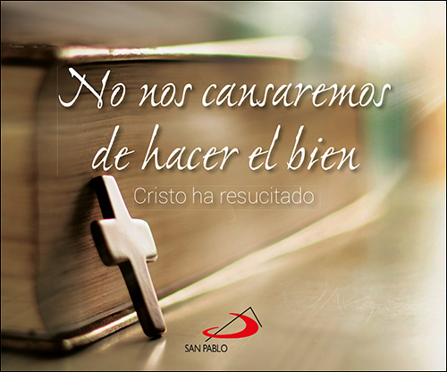 [9788428563383] No nos cansaremos de hacer el bien