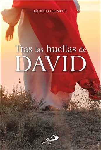 [9788428570541] Tras las huellas de David