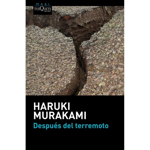 [9788483838891] Después del terremoto