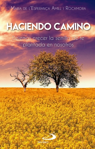 Haciendo camino