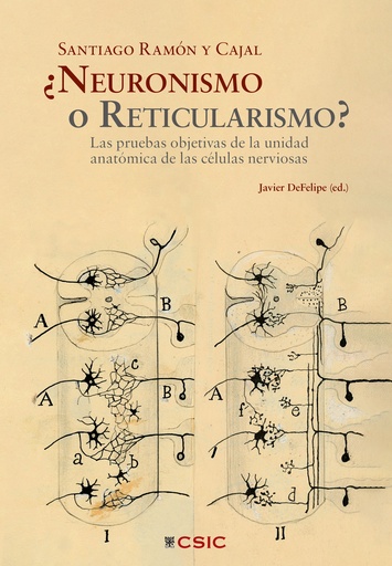 ¿Neuronismo o reticularismo?