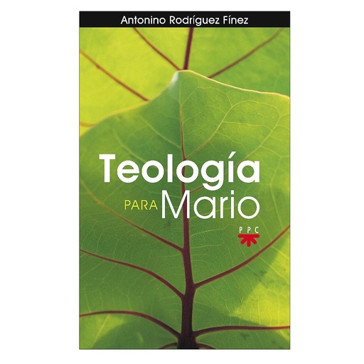 [9788428822367] Teología para Mario