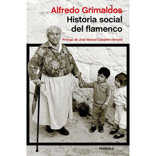 [9788499423845] Historia social del flamenco
