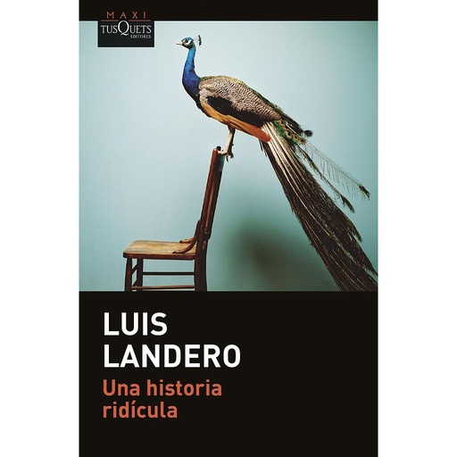[9788411073288] Una historia ridícula
