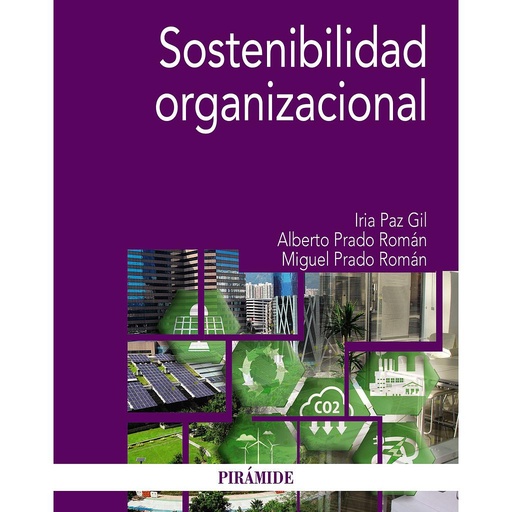 [9788436848373] Sostenibilidad organizacional