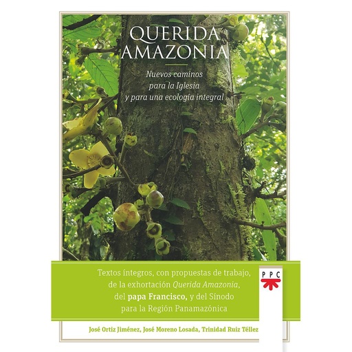[9788428836340] Querida Amazonia