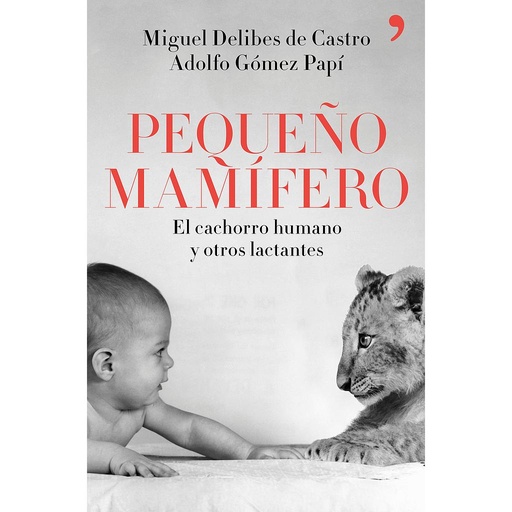 Pequeño mamífero