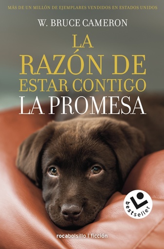 [9788417821432] La razón de estar contigo 3 - La promesa