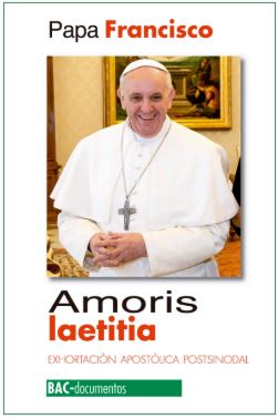 [9788422018919] Amoris laetitia