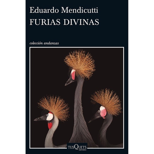 [9788490662465] Furias divinas