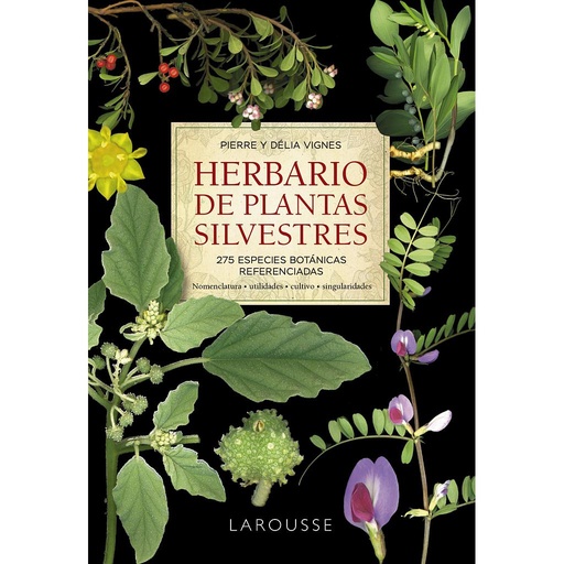 [9788418473999] Herbario de plantas silvestres
