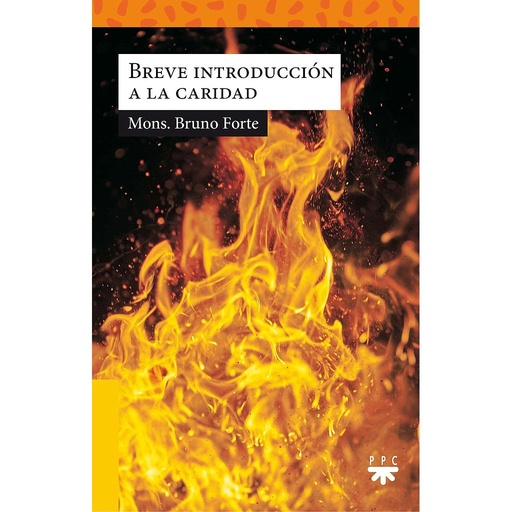 [9788428832359] Breve introducción a la caridad